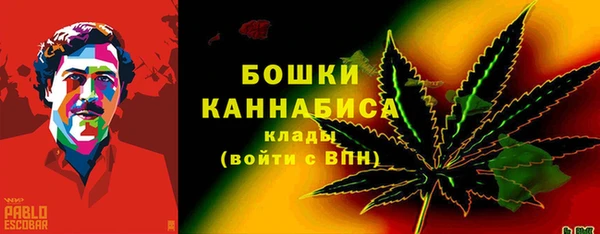 PSILOCYBIN Богородицк